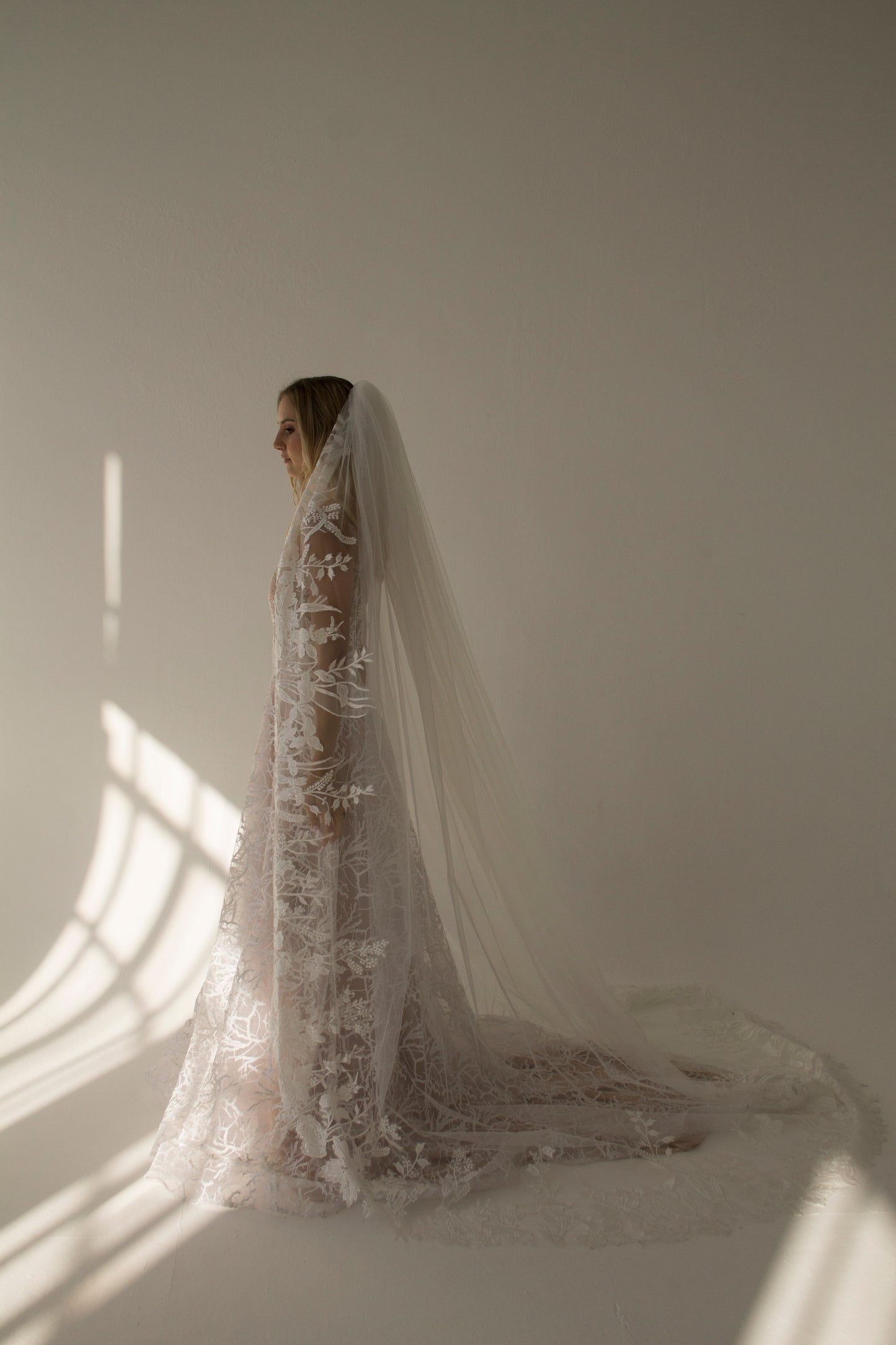 Willow Lace edge Veil